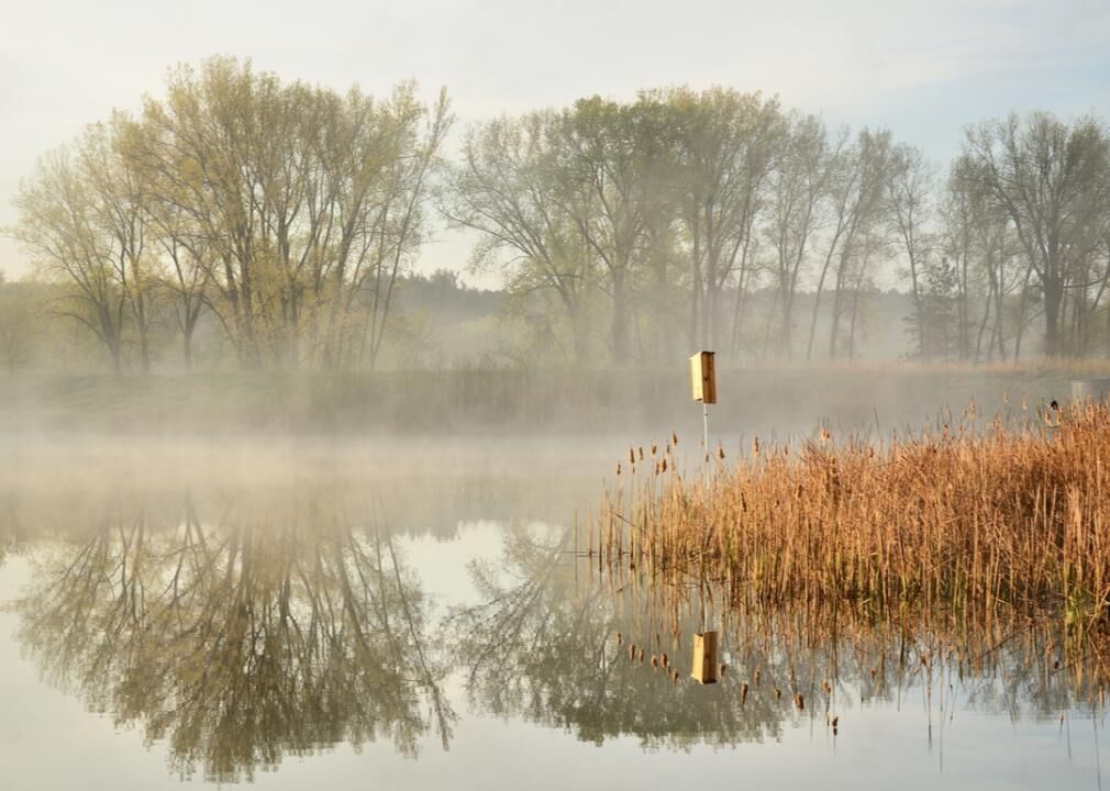 Minnesota